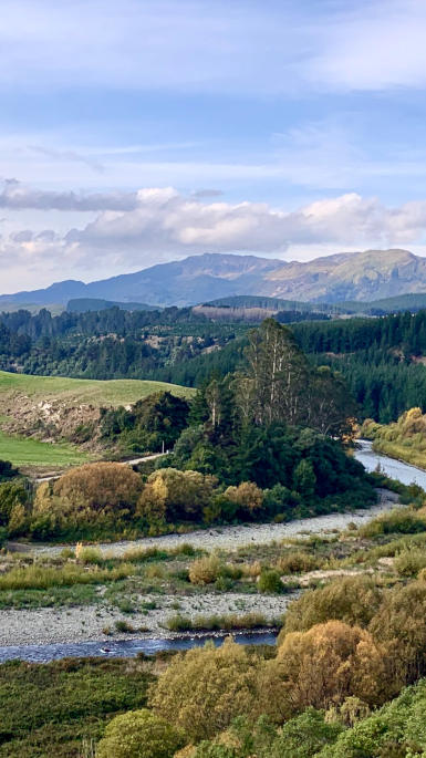 green landscape
