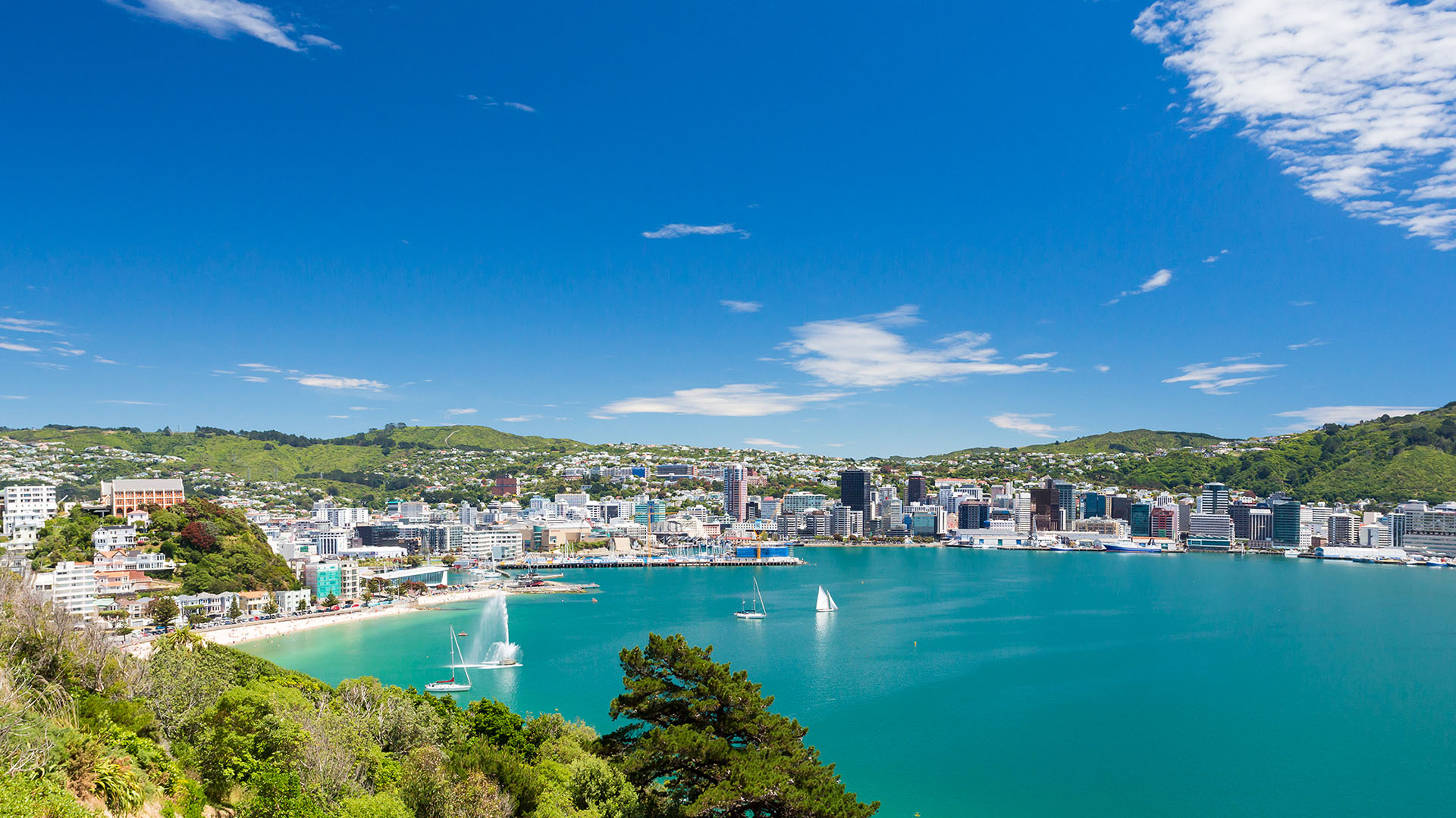 sunshine in wellington 