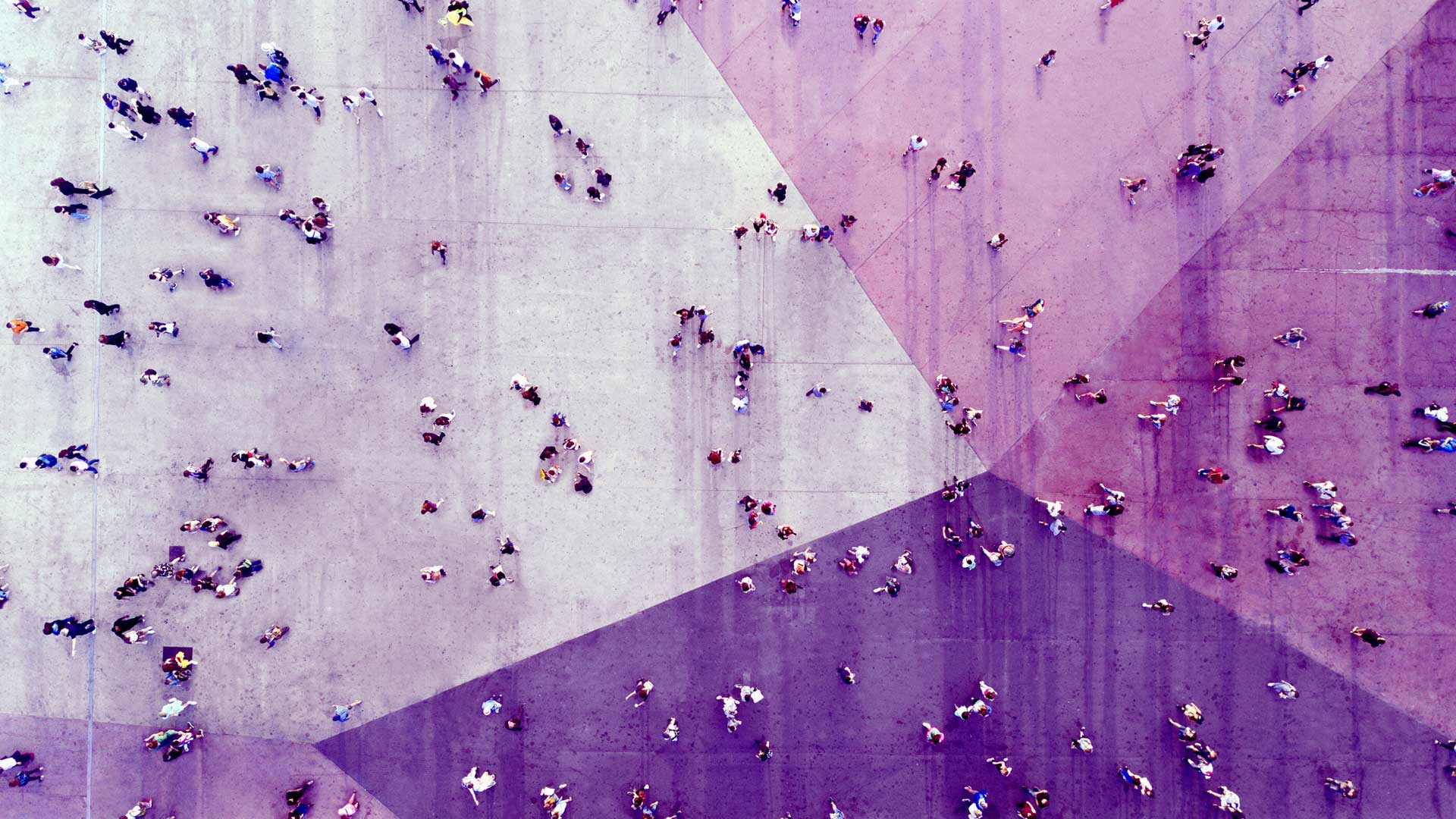 crowds walking on purple path