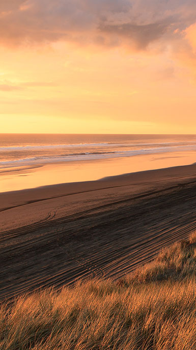 port waikato