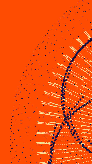 CT Litigation Trends Insights