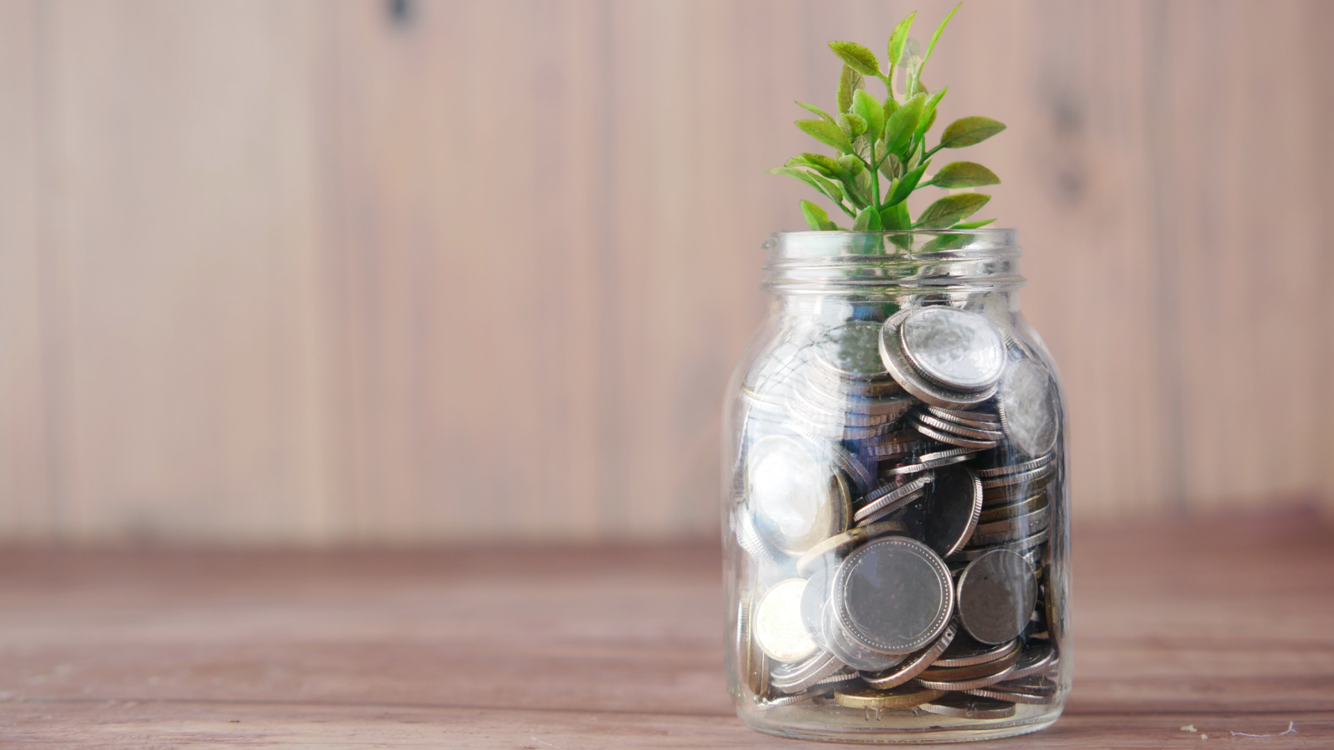 money plant in a jar 