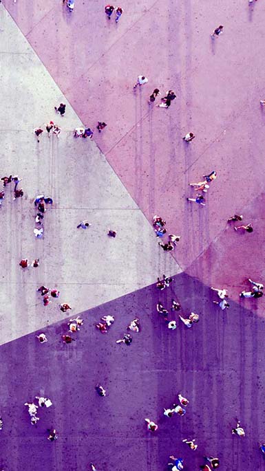 crowds walking on purple path