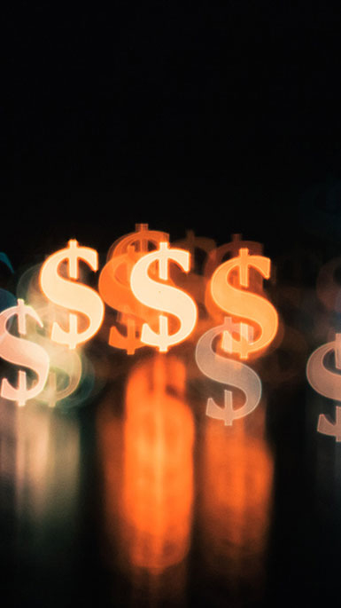 dollar signs 