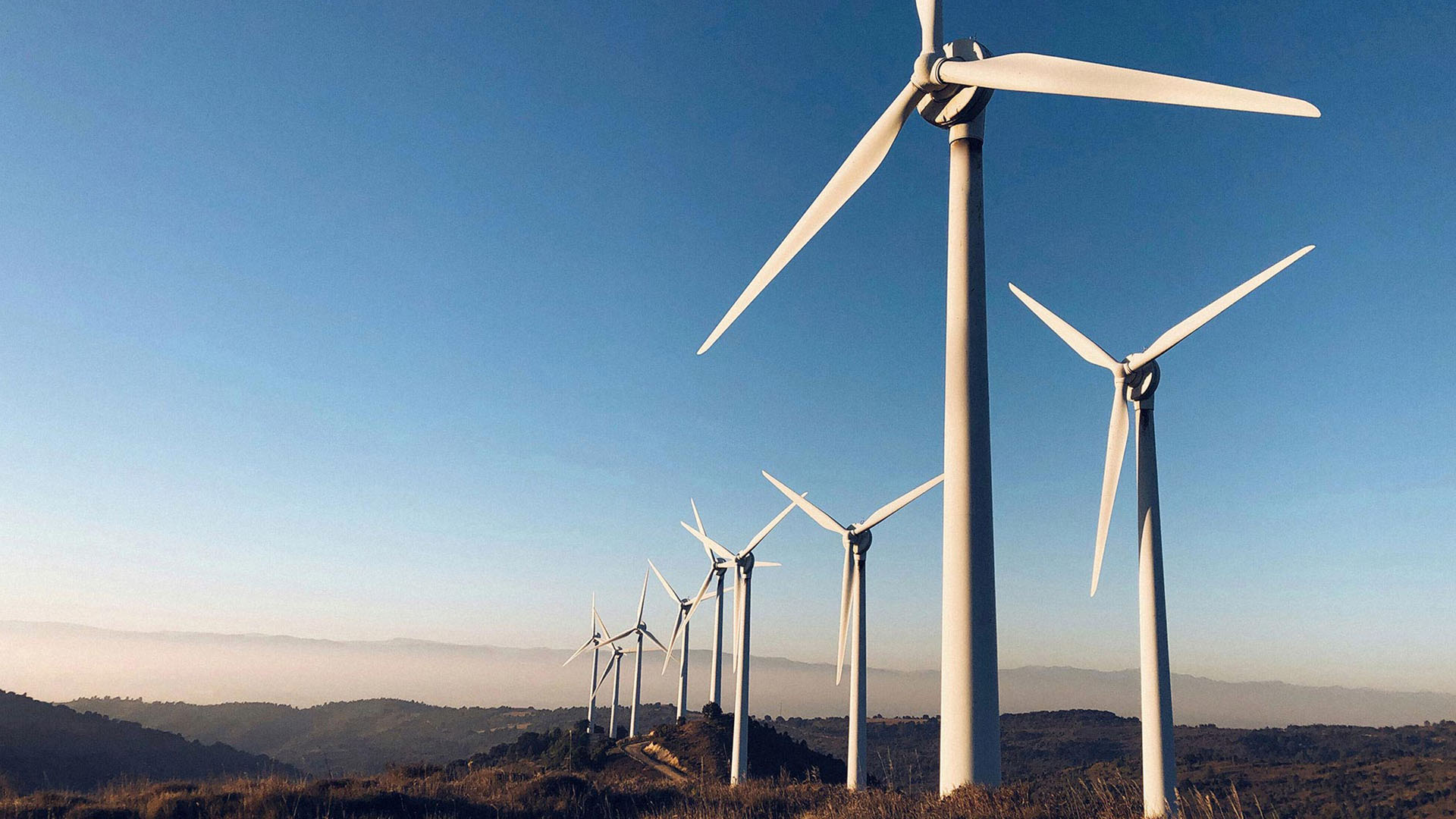 wind turbine